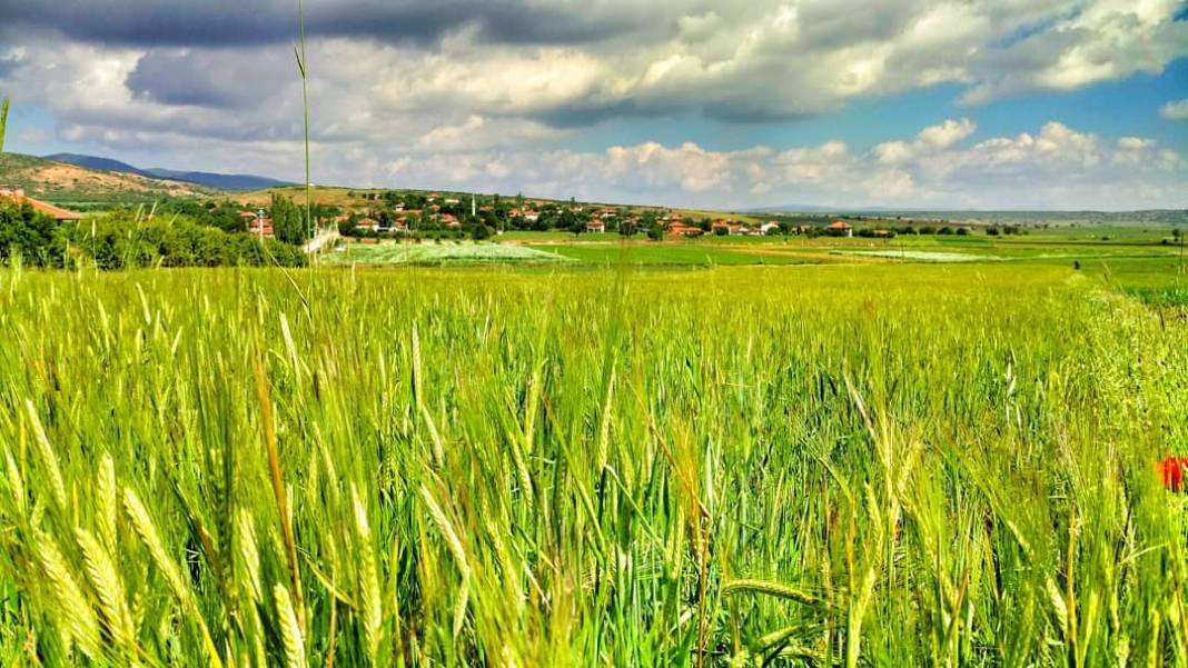 Karamanlı Dereköy Köyü Resimleri 14