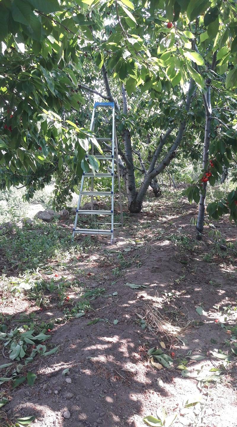 Meram Çukurçimen Köyü Resimleri 7