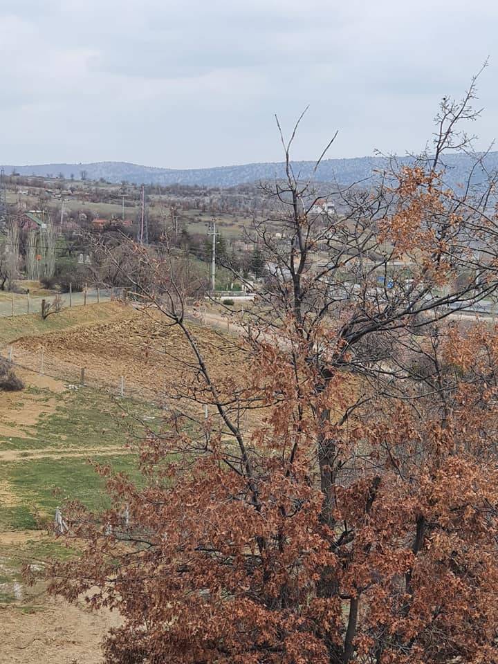 Meram Erenkaya Köyü Resimleri 4