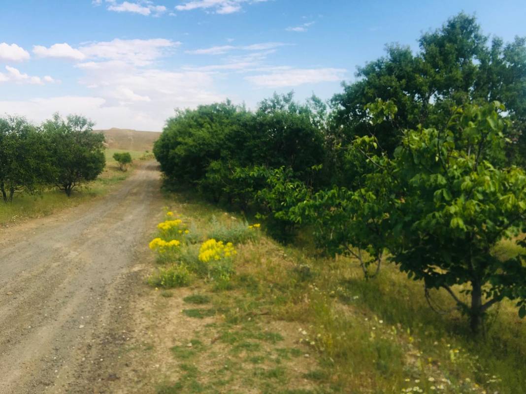 Meram Erenkaya Köyü Resimleri 8