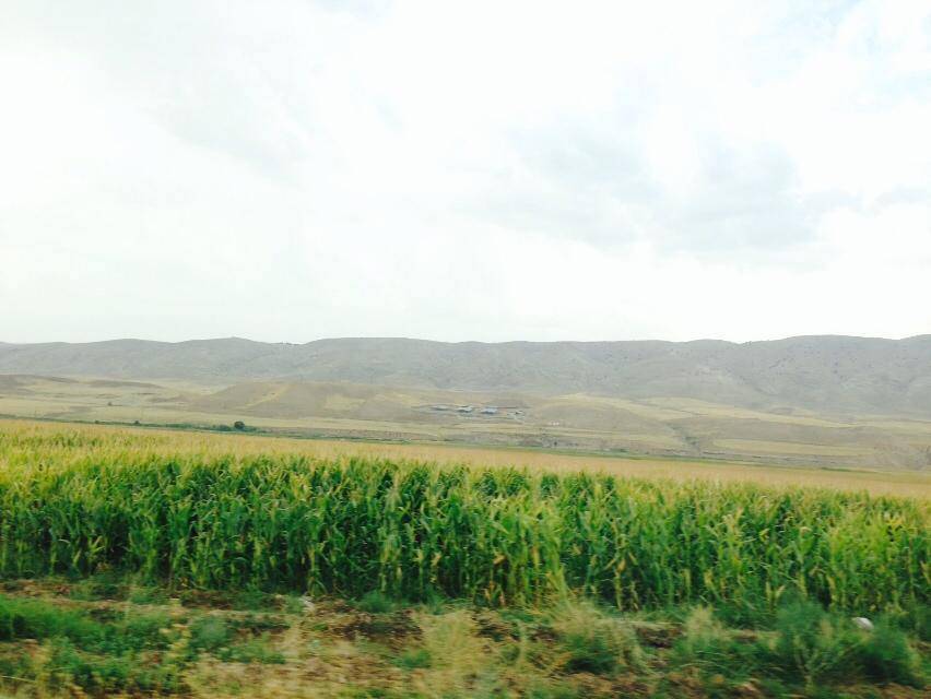 Beşiri Yazıhan Köyü Resimleri 1