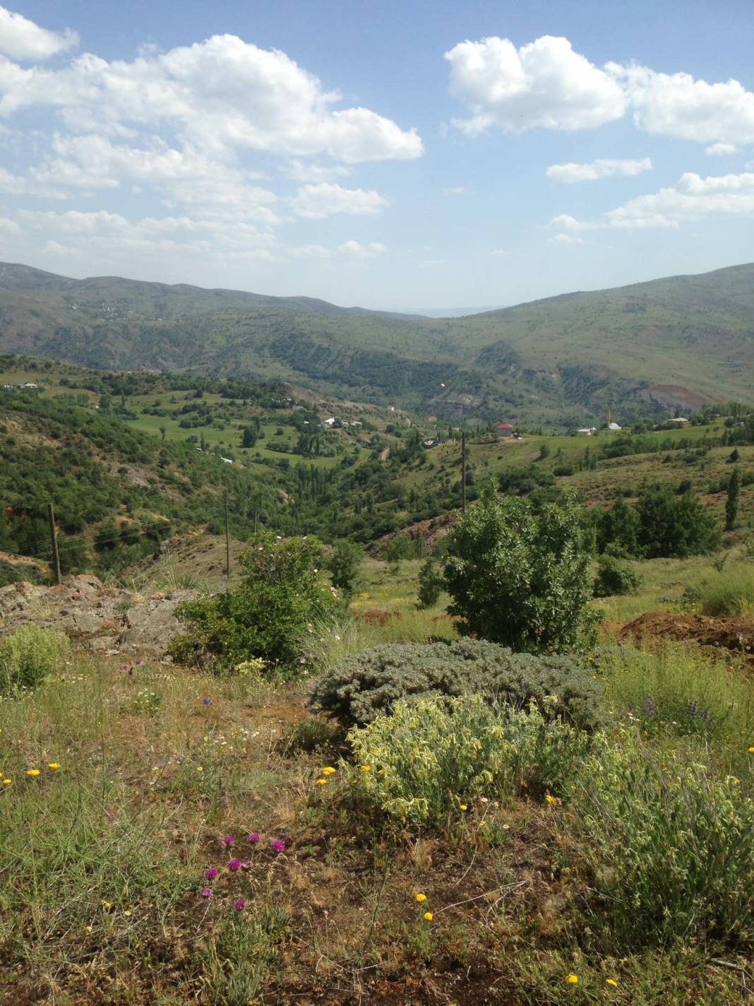 Beşiri Yeniyol Köyü Resimleri 1