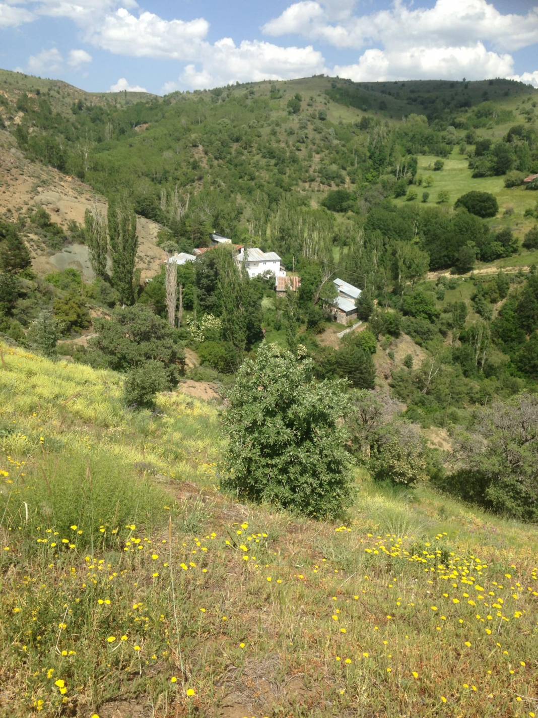 Beşiri Yeniyol Köyü Resimleri 10