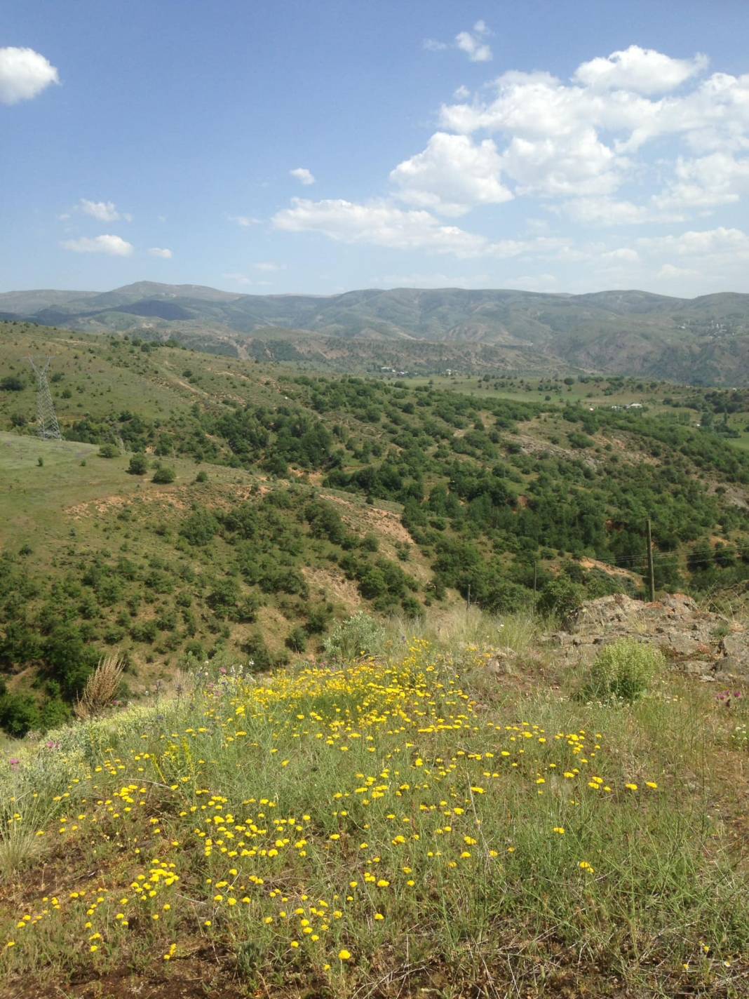 Beşiri Yeniyol Köyü Resimleri 3