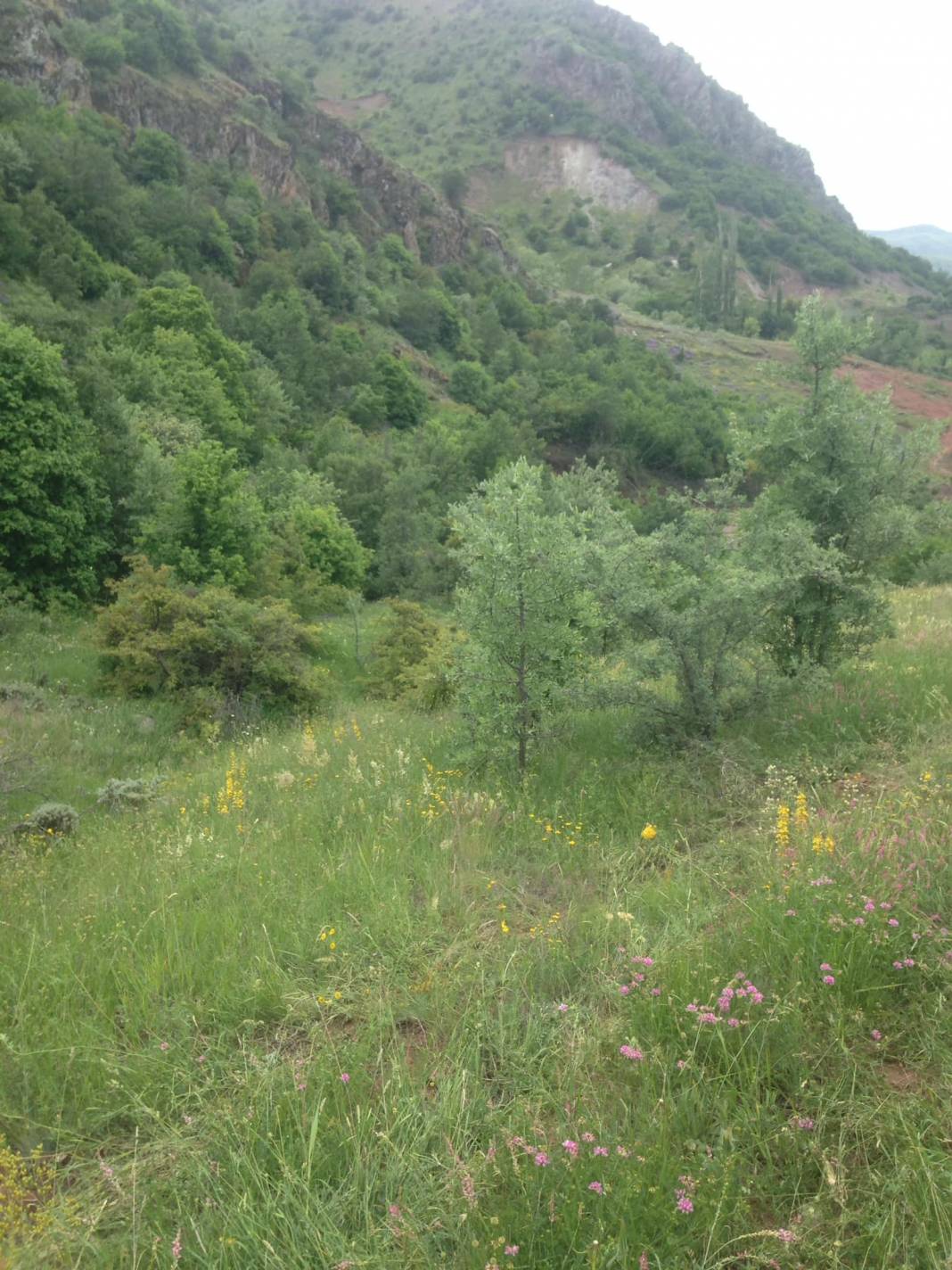 Beşiri Yeniyol Köyü Resimleri 5