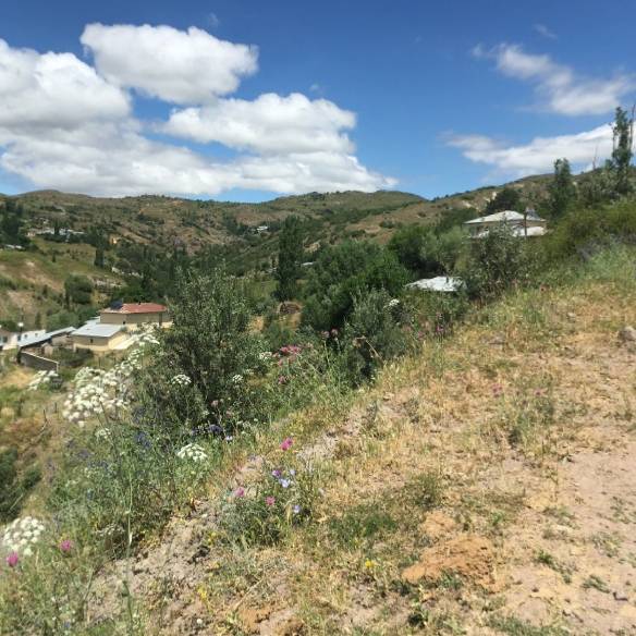 Beşiri Yeniyol Köyü Resimleri 7