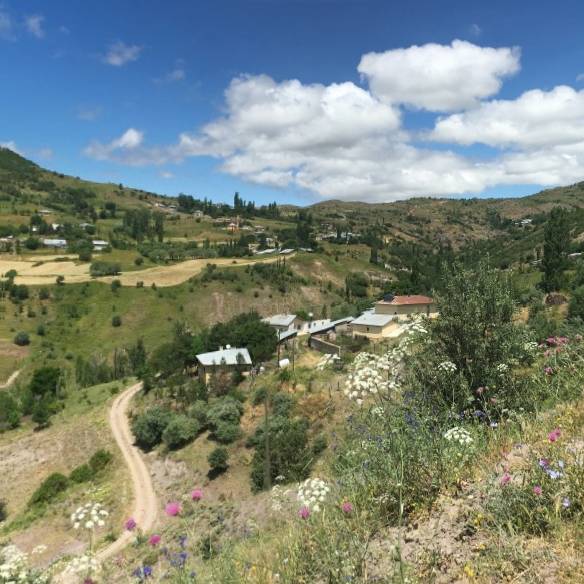 Beşiri Yeniyol Köyü Resimleri 8