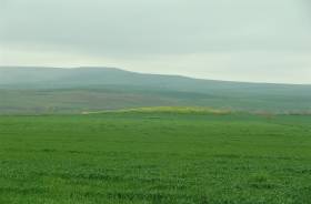 Beşiri Yolkonak Köyü 5