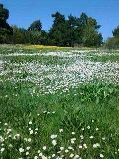 Tokat Dedeli Köyü Resimleri 5