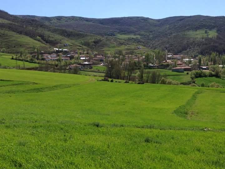 Tokat Dereyaka Köyü Resimleri 5