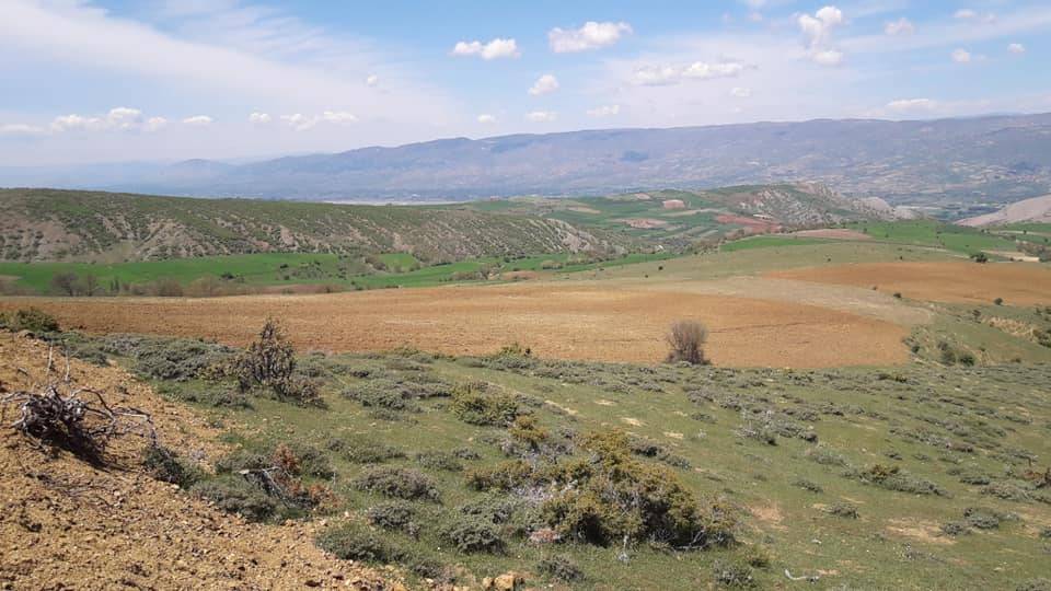 Tokat Dereyaka Köyü Resimleri 6