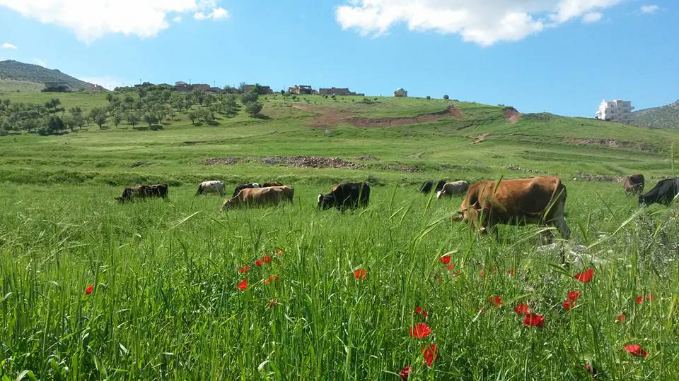 Gercüş Akyar Köyü Resimleri 5
