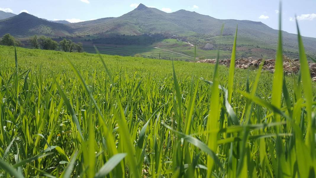 Gercüş Akyar Köyü Resimleri 6