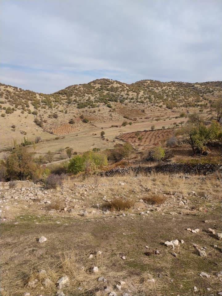 Gercüş Ardıç Köyü Resimleri 6