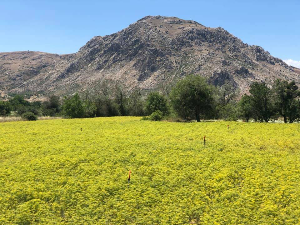 Tefenni Başpınar Köyü Resimleri 5