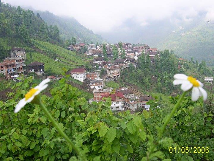 Çamlıhemşin Ortaklar Köyü Resimleri 5