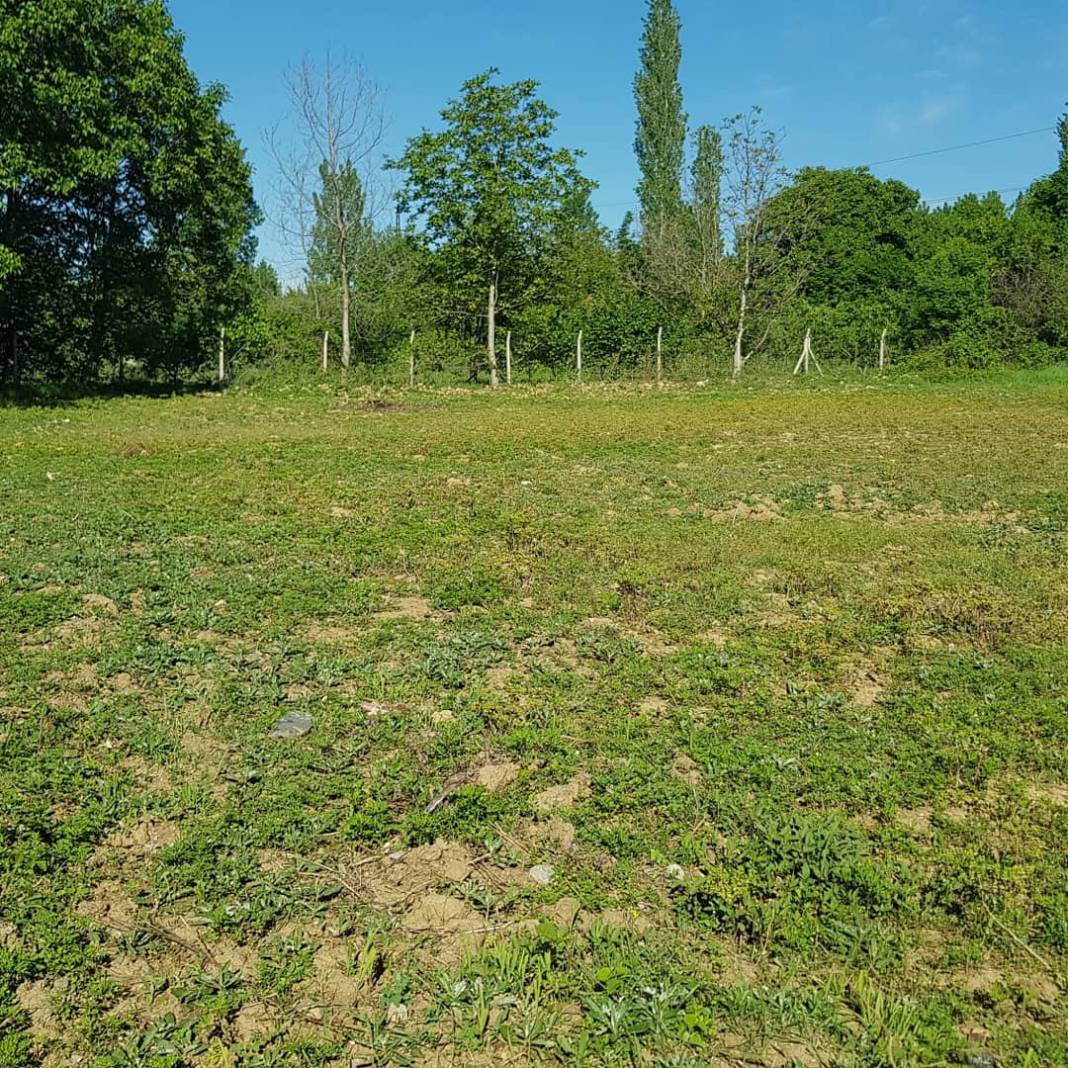 Tokat Gaziosmanpaşa Köyü Resimleri 1