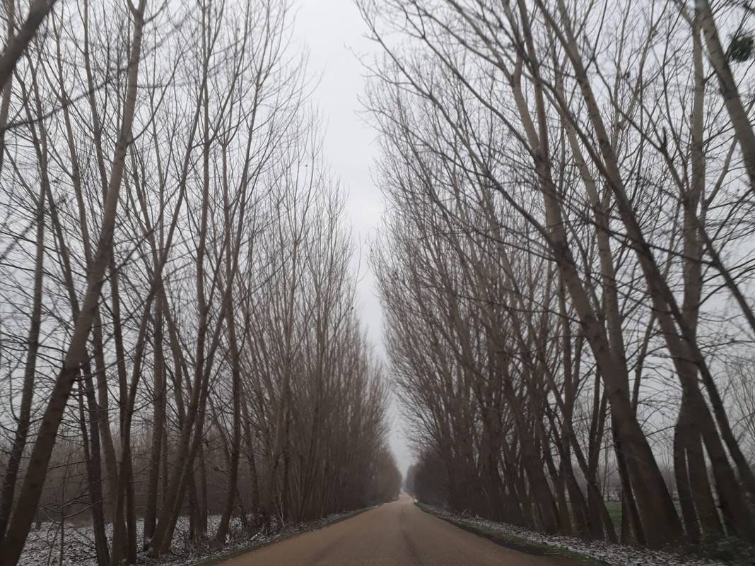 Tokat Gülpınar Köyü Resimleri 12