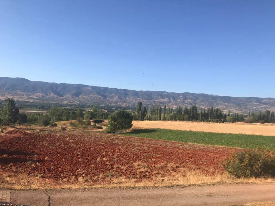 Tokat Gülpınar Köyü Resimleri 9