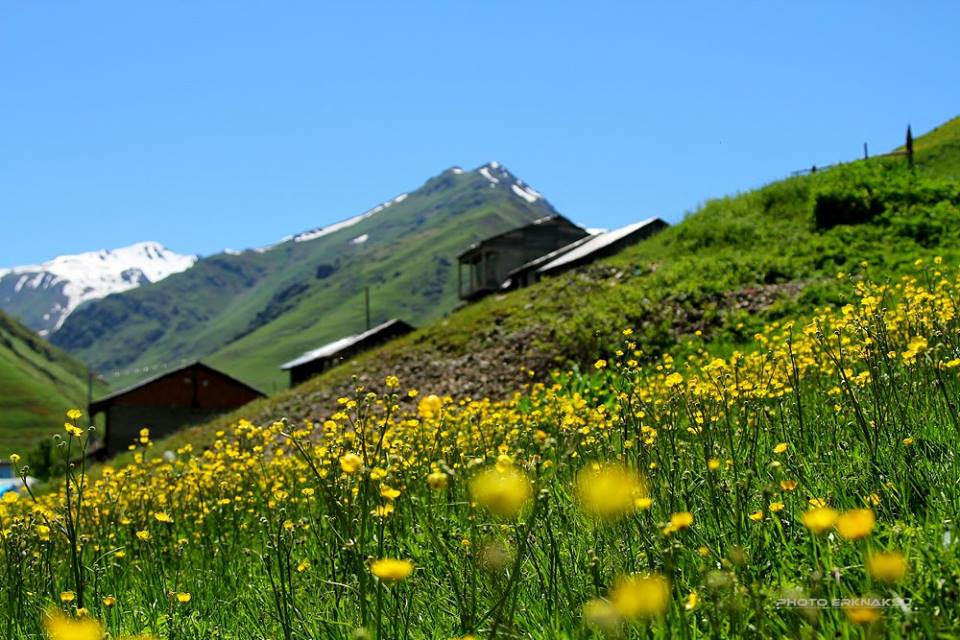 Çamlıhemşin Ortayayla Köyü Resimleri 10