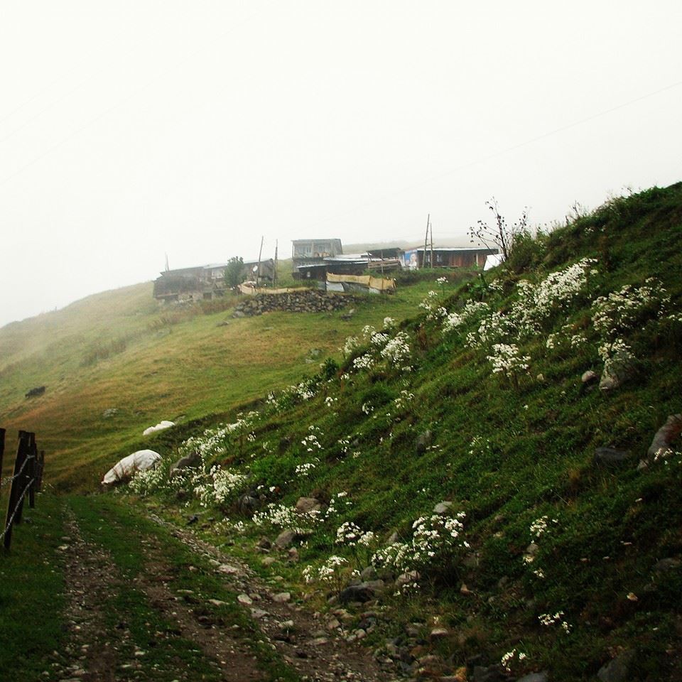 Çamlıhemşin Ortayayla Köyü Resimleri 11