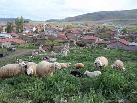 Meram Kayıhüyük Köyü Resimleri 1