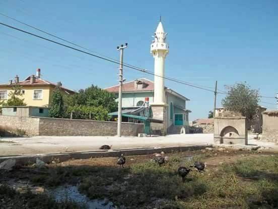 Meram Kayıhüyük Köyü Resimleri 2