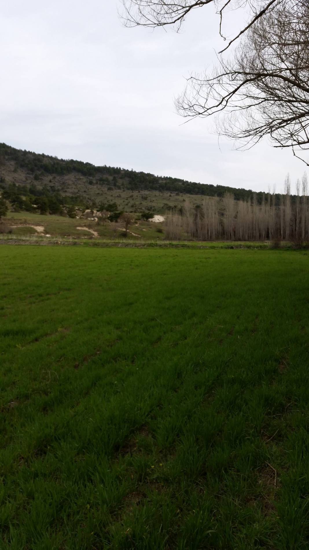 Meram Kızılören Köyü Resimleri 2