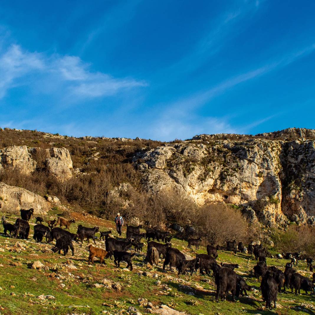 Tokat Keşlik Köyü Resimleri 12