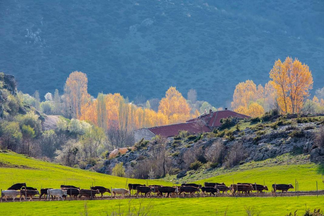 Tokat Keşlik Köyü Resimleri 14
