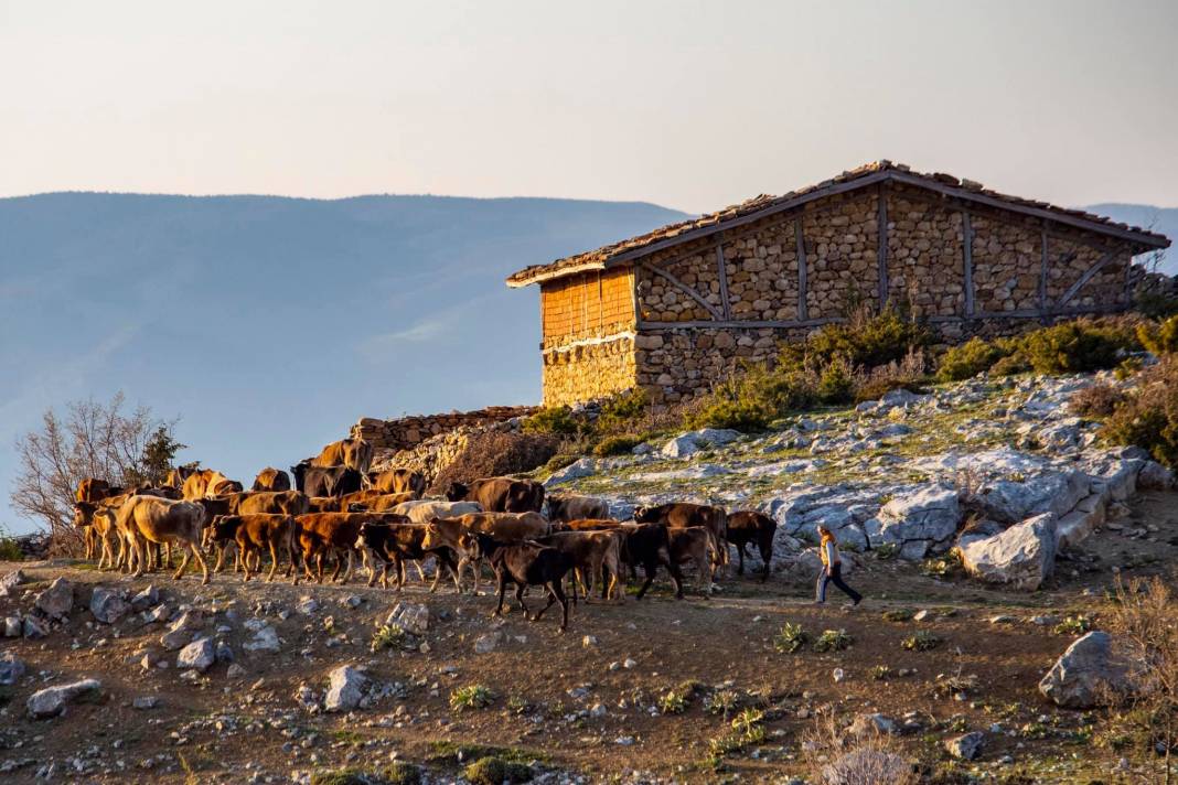 Tokat Keşlik Köyü Resimleri 15
