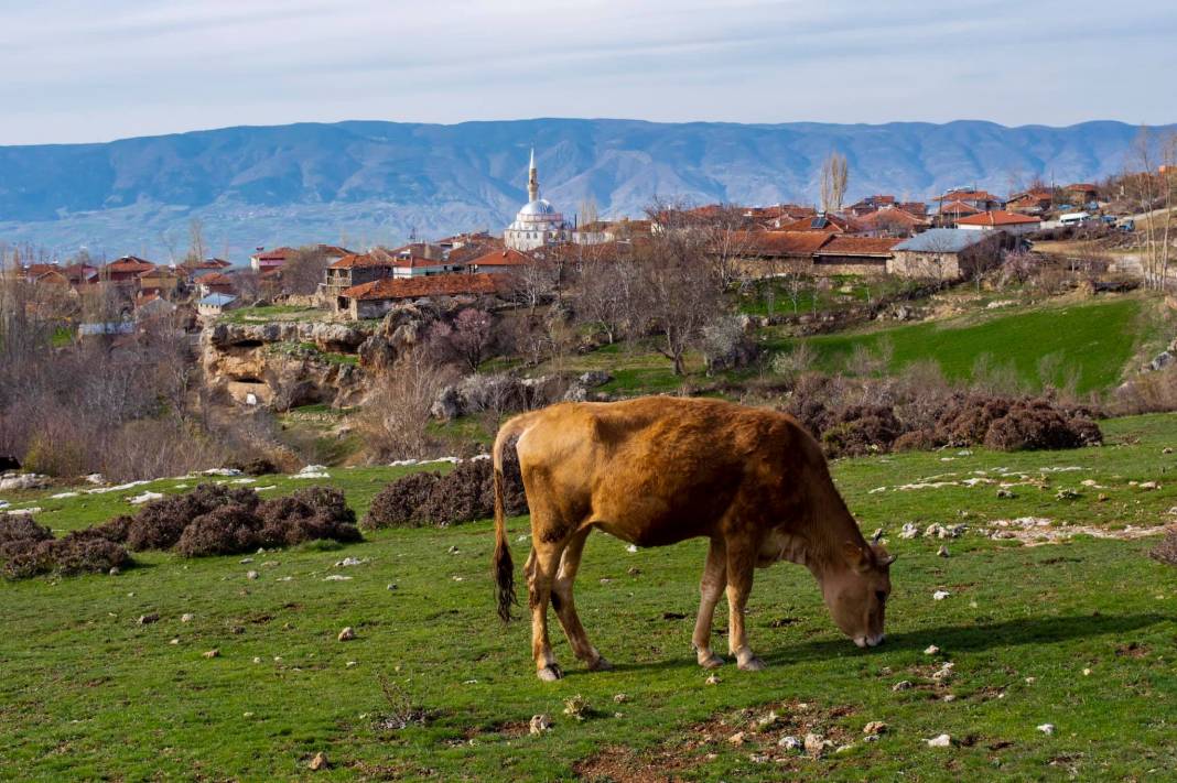 Tokat Keşlik Köyü Resimleri 16