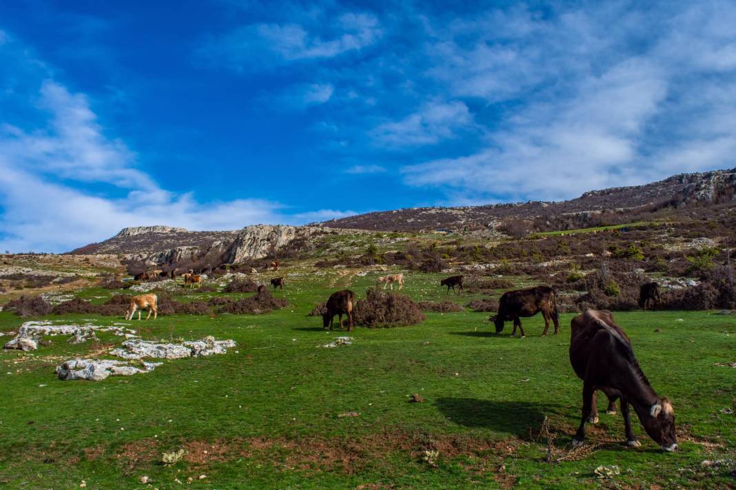 Tokat Keşlik Köyü Resimleri 17