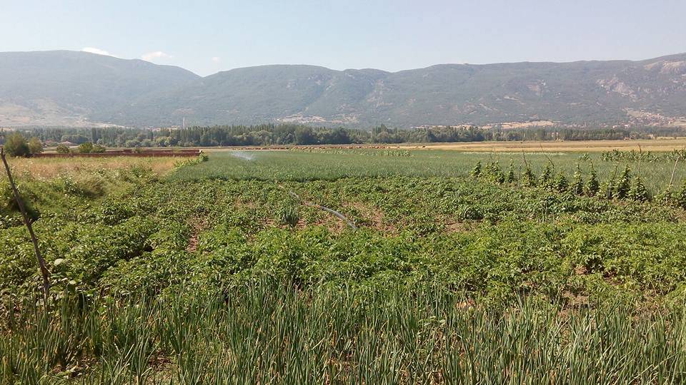 Çorum Abdalata Köyü Resimleri 3