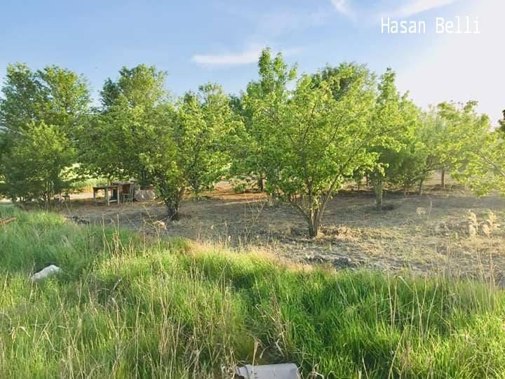 Çorum Abdalata Köyü Resimleri 5