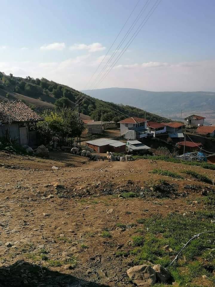 Tokat Ormanbeyli Köyü Resimleri 5