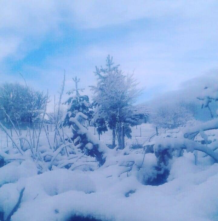 Tokat Sevindik Köyü Resimleri 4