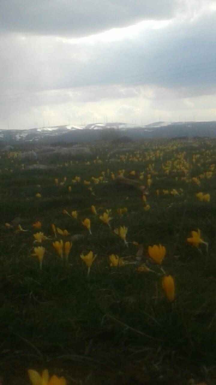 Tokat Sevindik Köyü Resimleri 5