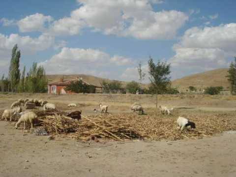 Aksaray Topakkaya Kasabası Resimleri 2