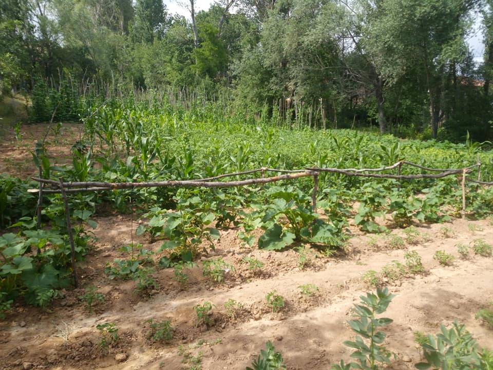 Tokat Tahtoba Köyü Resimleri 5