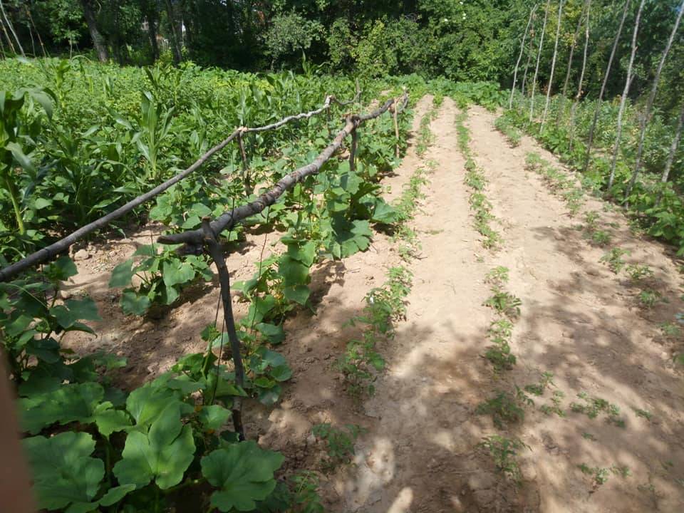 Tokat Tahtoba Köyü Resimleri 6