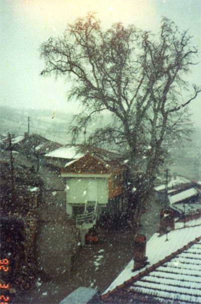 Tokat Yenice Köyü Resimleri 1
