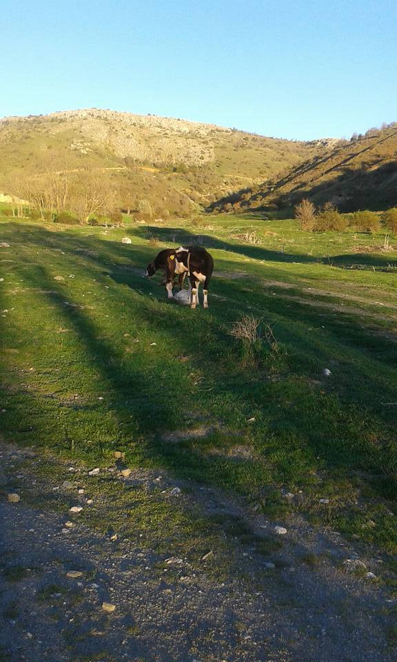 Tokat Yenice Köyü Resimleri 7