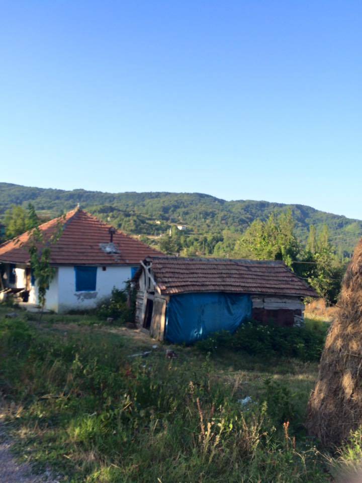 Ayancık Abdulkadirköy Köyü Resimleri 11