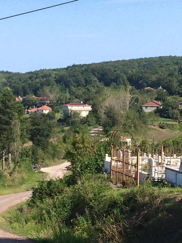Ayancık Abdulkadirköy Köyü Resimleri 13