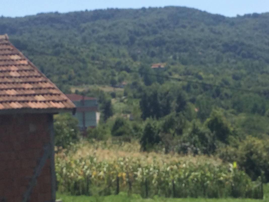 Ayancık Abdulkadirköy Köyü Resimleri 14