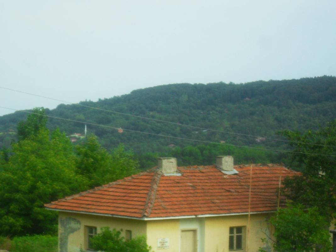 Ayancık Abdulkadirköy Köyü Resimleri 18