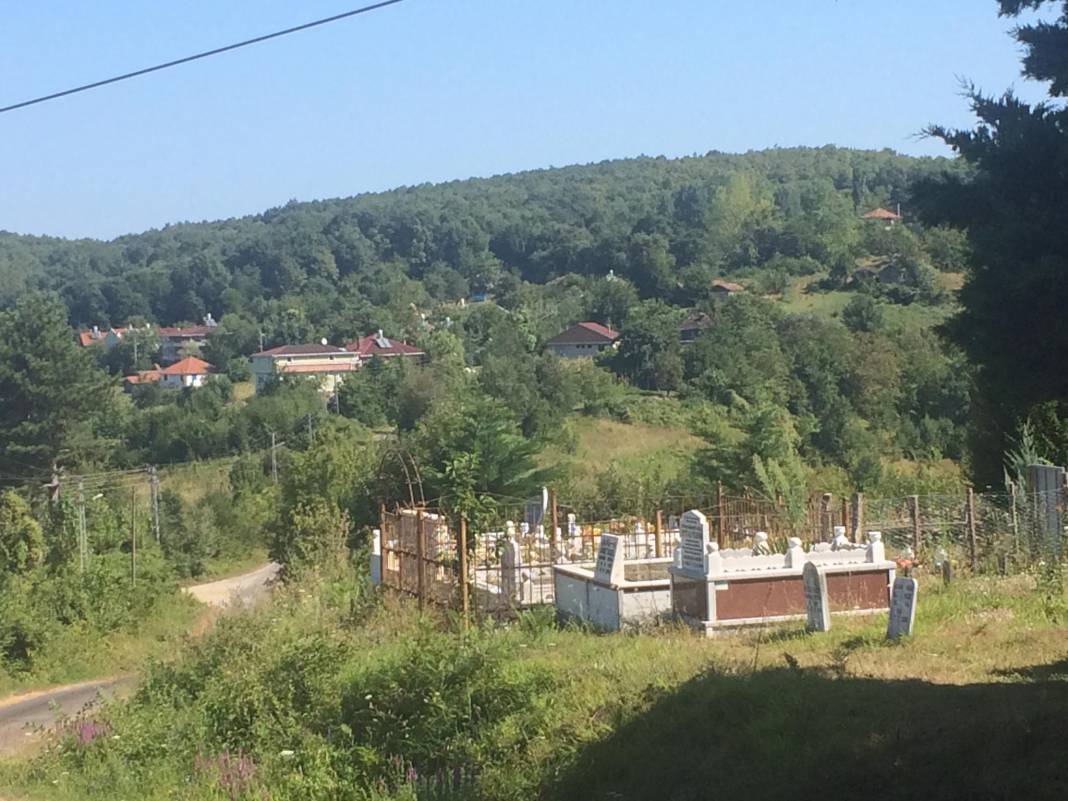 Ayancık Abdulkadirköy Köyü Resimleri 19