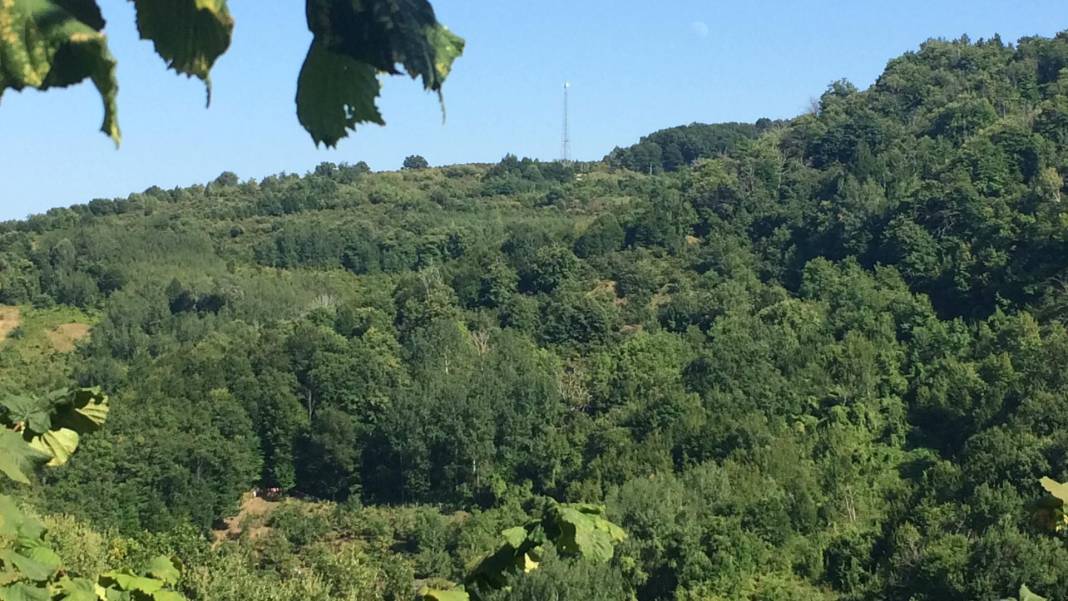Ayancık Abdulkadirköy Köyü Resimleri 20