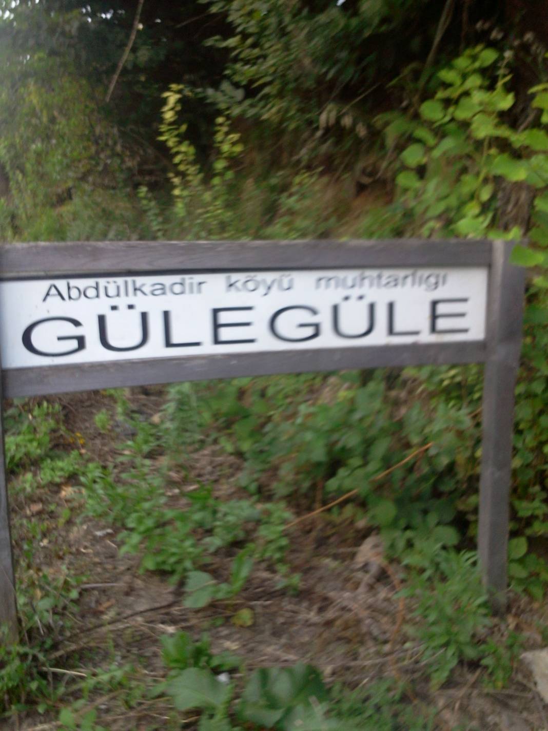 Ayancık Abdulkadirköy Köyü Resimleri 21